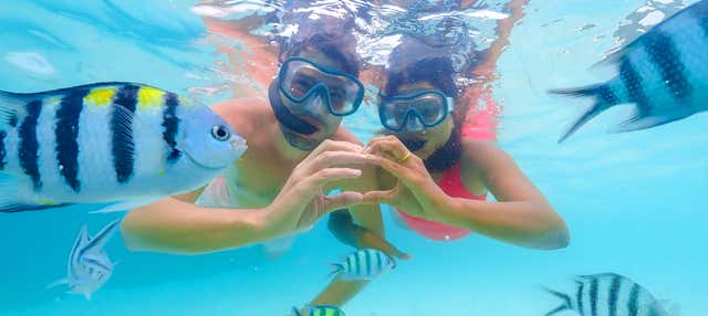 Snorkeling sull'Isola Santa Fé e Playa Escondida