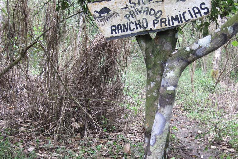 Imagen 4