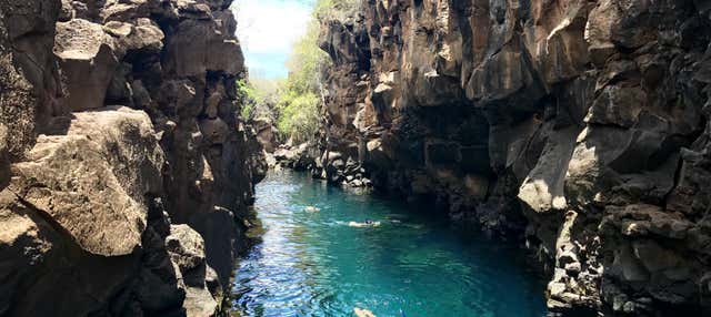 Giro in barca all'Isola Santa Cruz