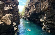 Santa Cruz Island Boat Tour