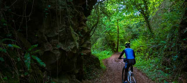 Tour dell'isola di Santa Cruz in bici