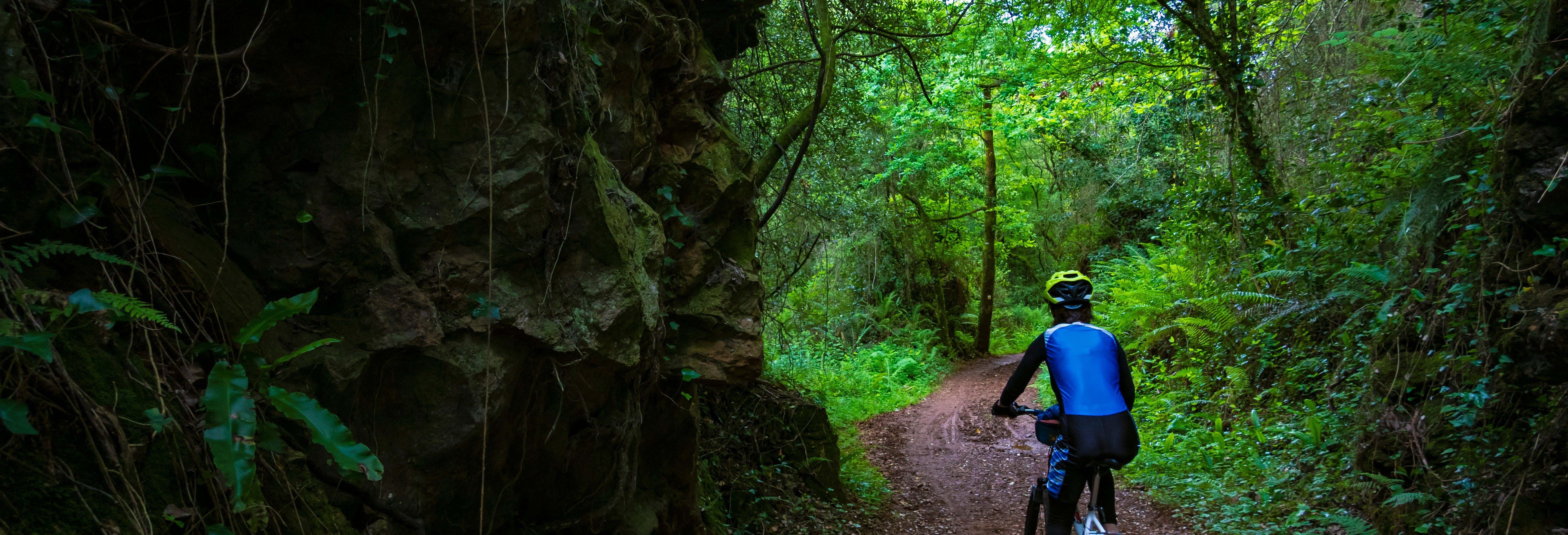 Santa Cruz Island Bike Tour