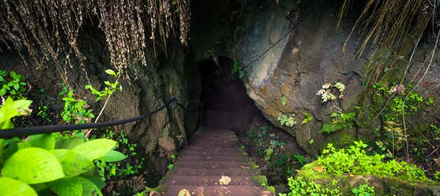 Tour della parte alta dell'isola di Santa Cruz