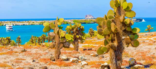 Transfer tra l'aeroporto delle Galapagos e l'isola di Santa Cruz