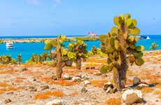 Galapagos Airport Transfer
