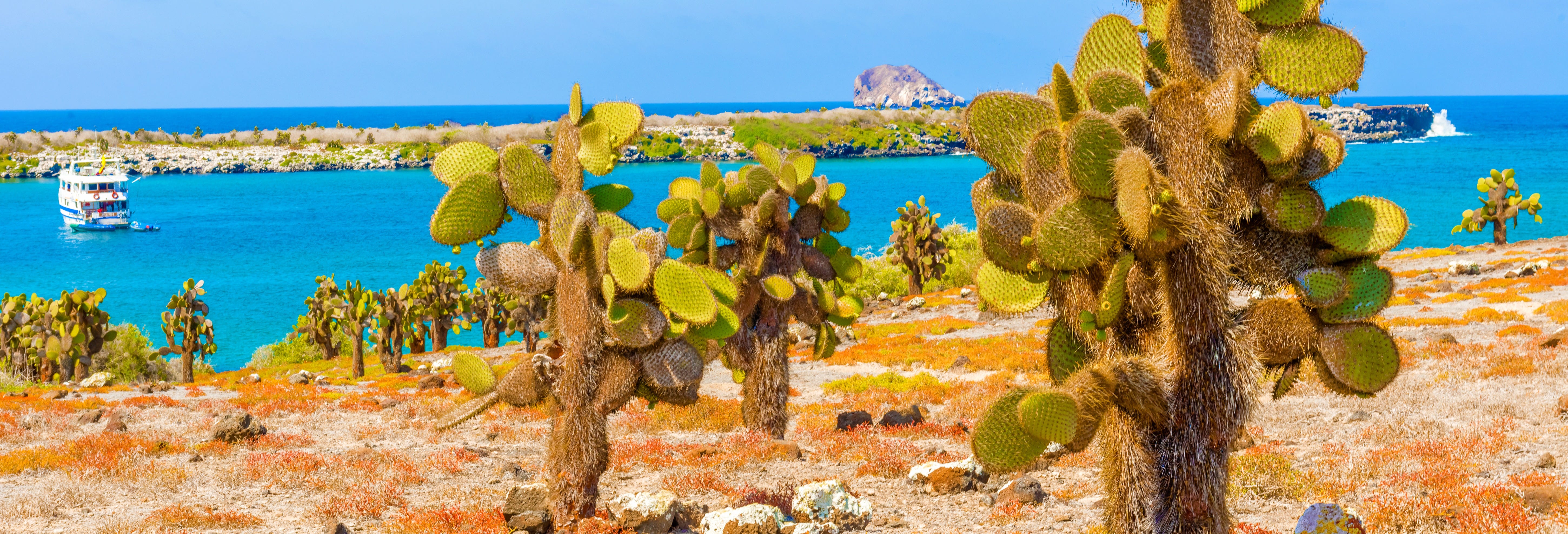 Galapagos Airport Transfer