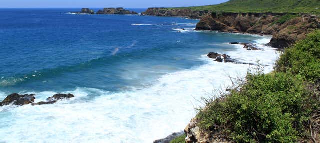 Escursione a Isla de la Plata