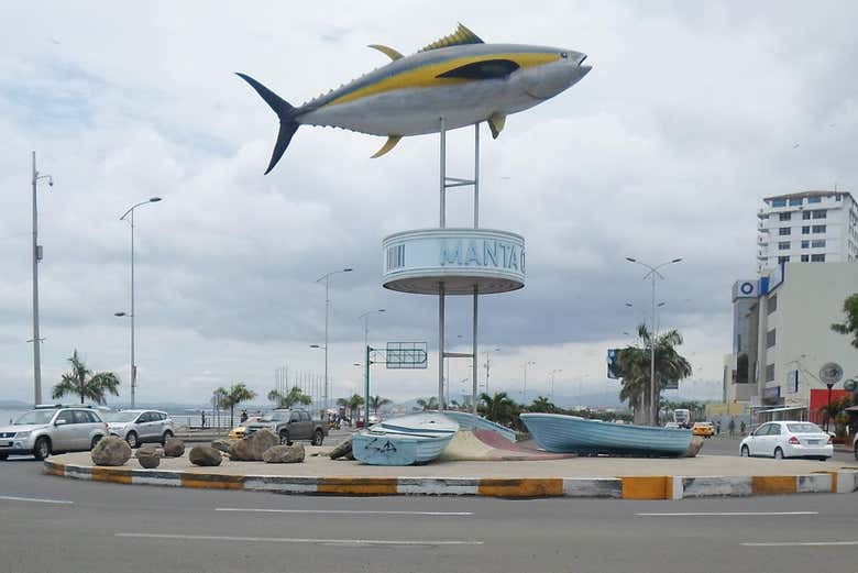 Imagen 5