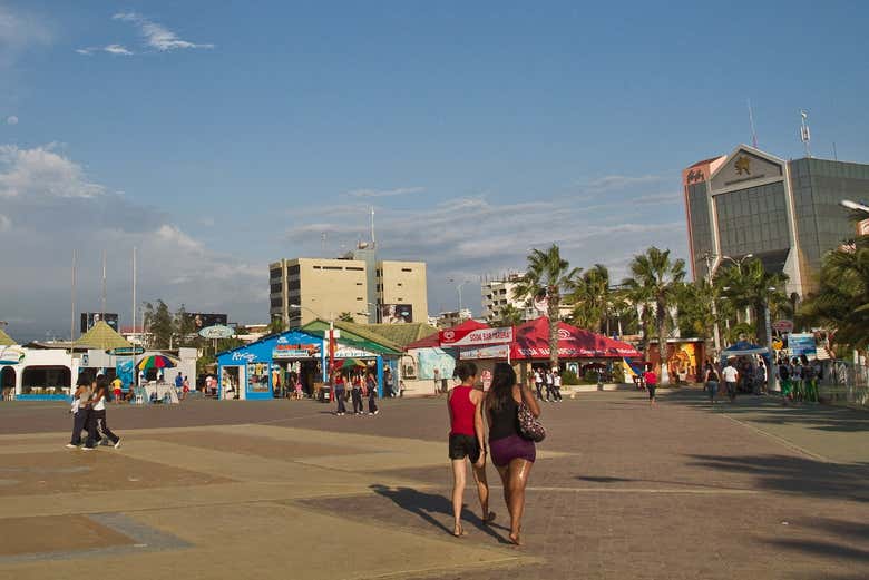 Imagen 6