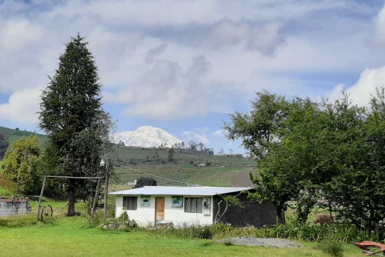 Imagen 8