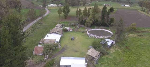 Trekking nella foresta di Quero