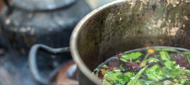 Cerimonia di ayahuasca a Templo Jempe