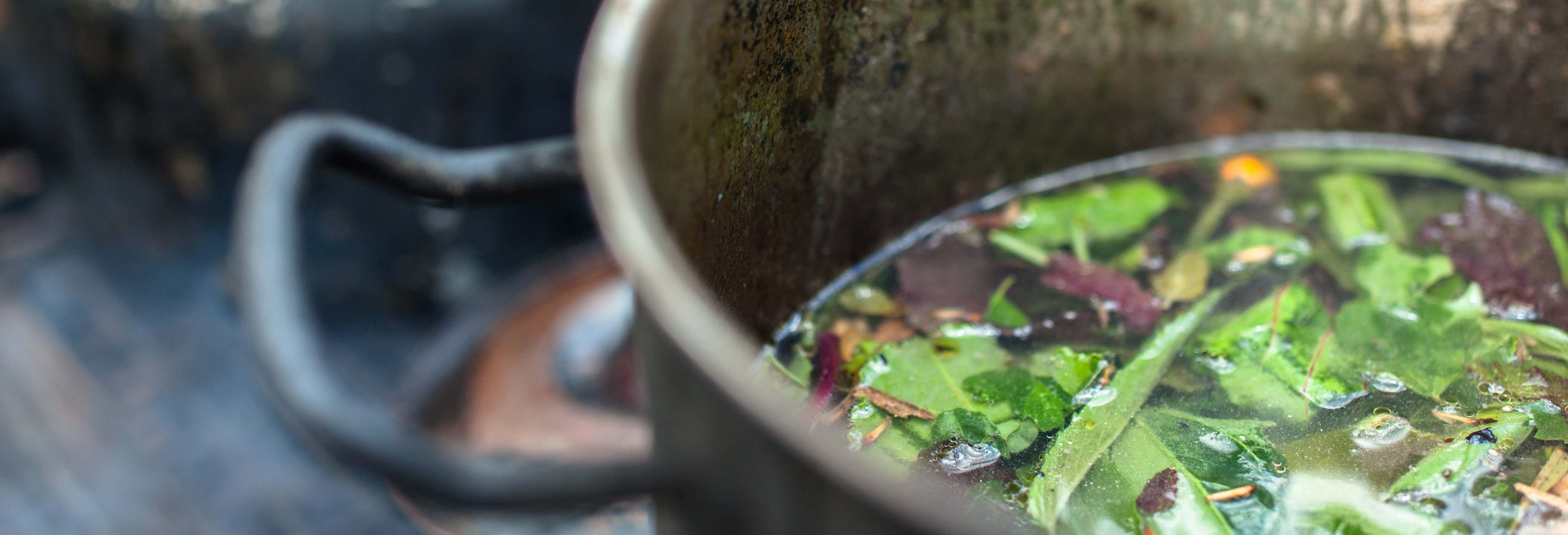 Cerimonia di ayahuasca a Templo Jempe