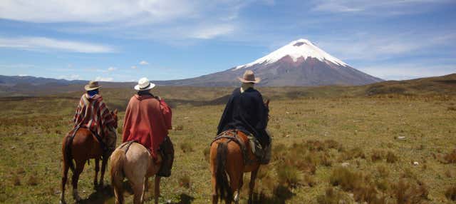 Escursione al Parco Nazionale Cotopaxi + Passeggiata a cavallo