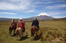 Cotopaxi National Park Day Trip + Horse Ride