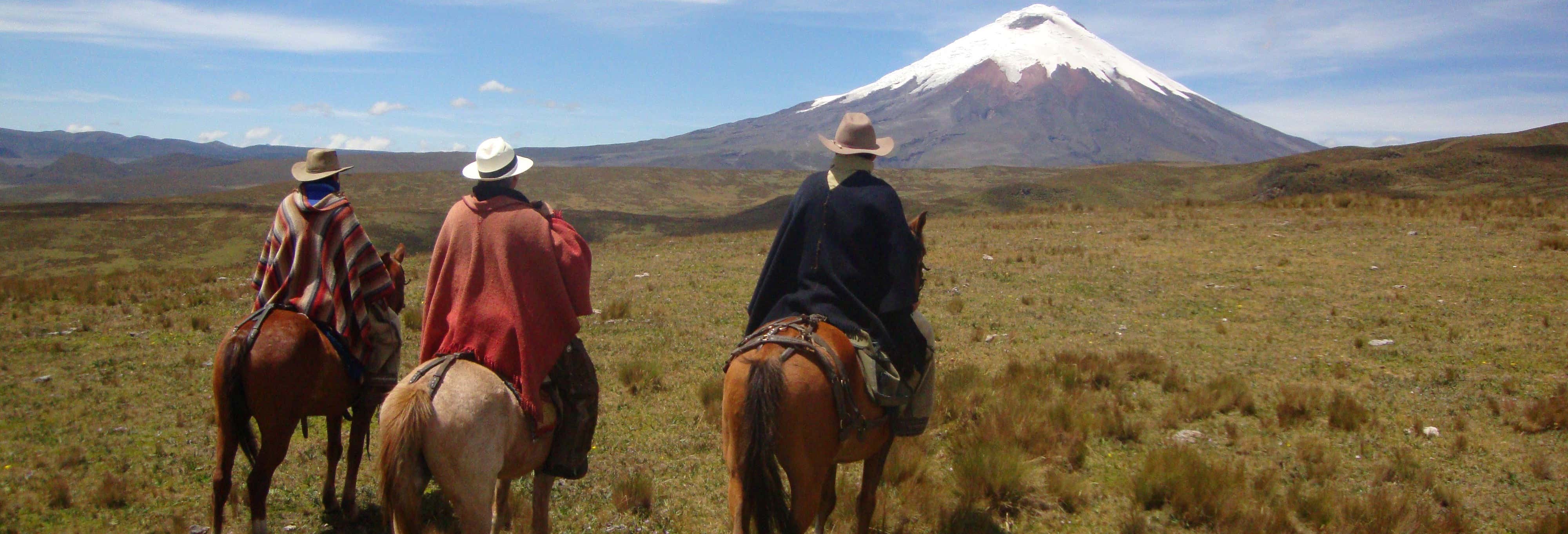 Escursione al Parco Nazionale Cotopaxi + Passeggiata a cavallo