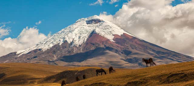 Escursione a Cotopaxi e Quilotoa