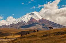 Excursão a Cotopaxi e Quilotoa