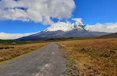 Antisana National Park Tour