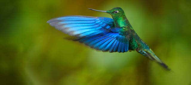 Escursione alla riserva Yanacocha