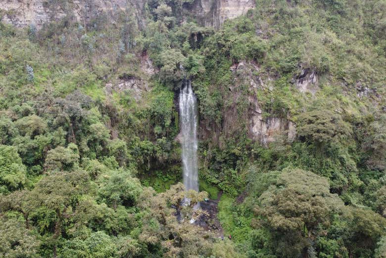 Imagen 2