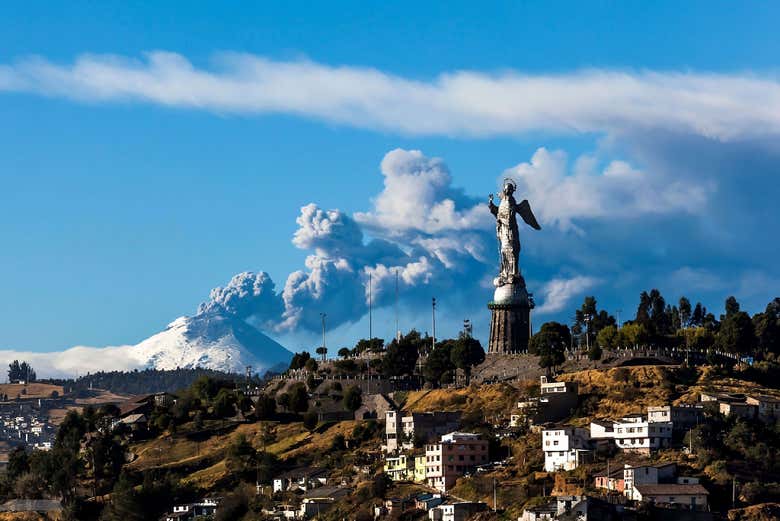 Imagen 10