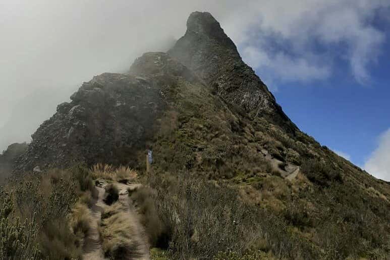 Imagen 4