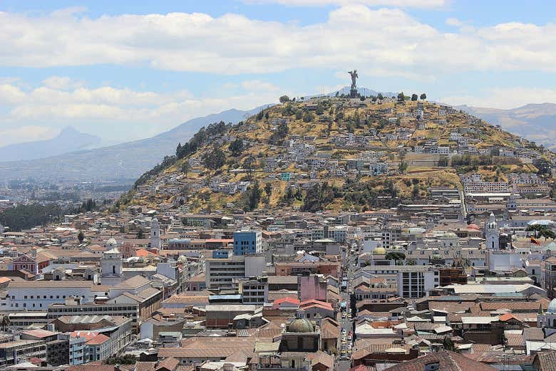Imagen 6