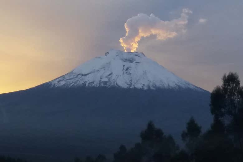 Imagen 3