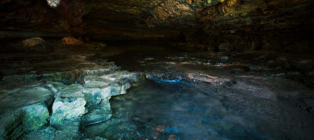 Tour di 2 giorni a Misahuallí