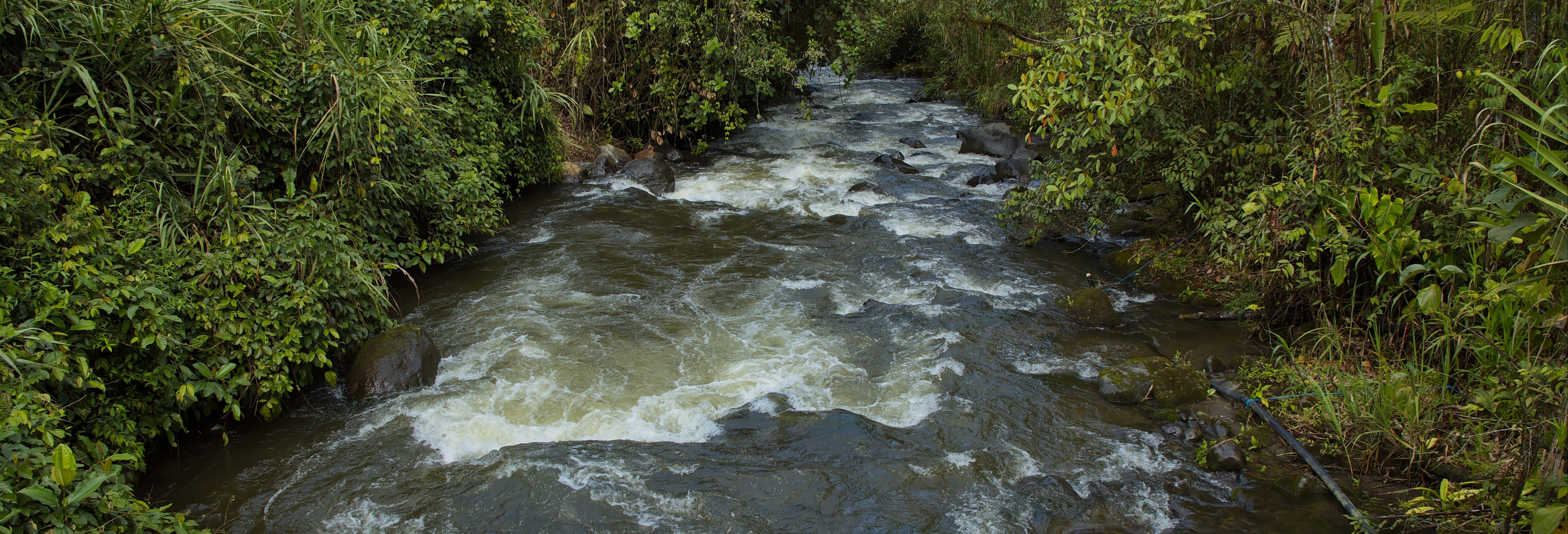 Flutuação pelo rio Mindo 