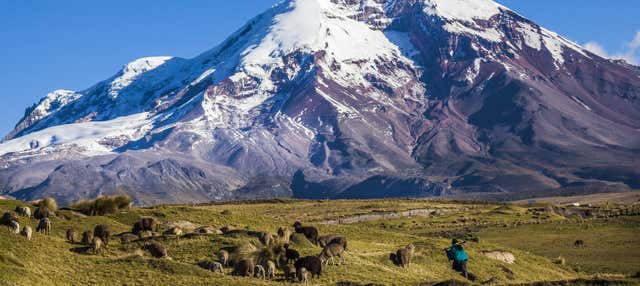 Escursione al Vulcano Chimborazo