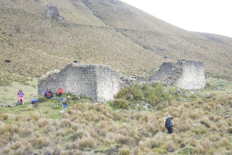 Imagen 5