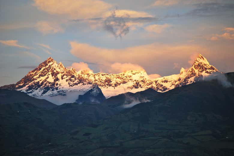 Imagen 8
