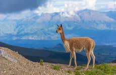 Trilha de 2 dias pelo vulcão Chimborazo