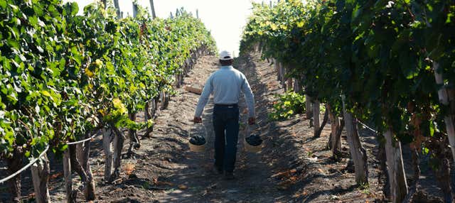 Visita della cantina Dos Hemisferios