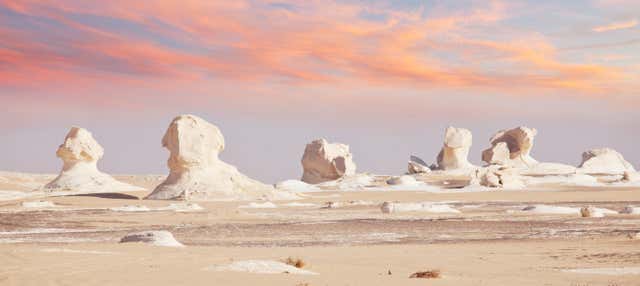 Escursione privata di 4 giorni al Deserto Bianco e alle oasi di Fayun e Bahariya