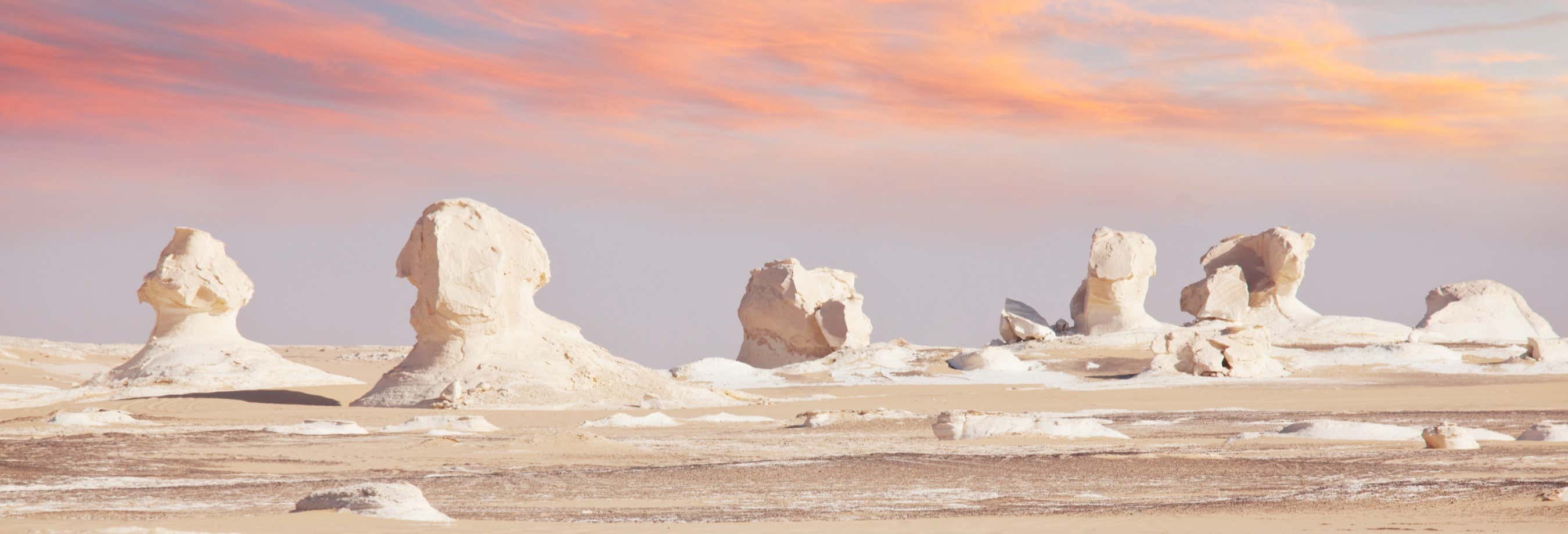 Escursione privata di 4 giorni al Deserto Bianco e alle oasi di Fayun e Bahariya