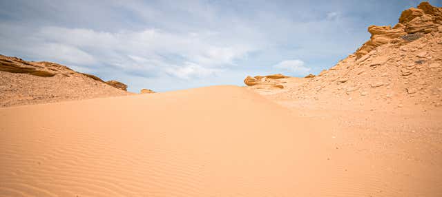 Escursione all'oasi di Fayyum