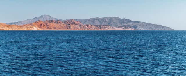 Circuit complet en Mer Rouge, 8 jours tout compris