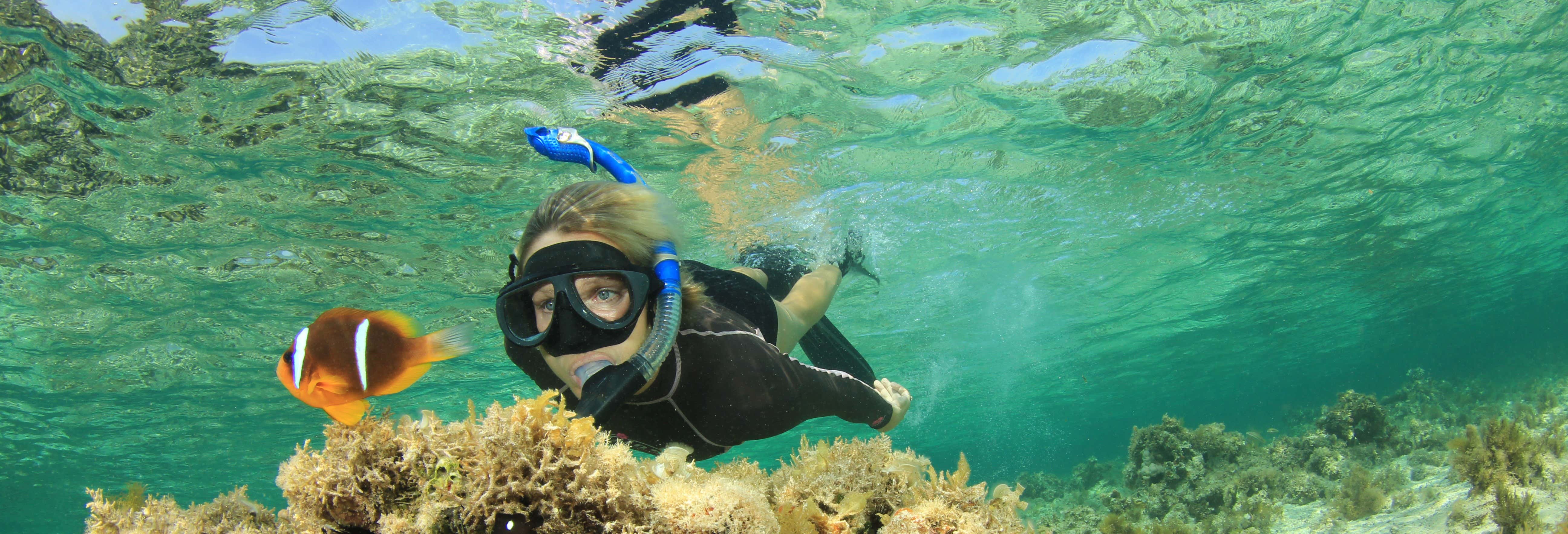 Escursione a Orange Bay