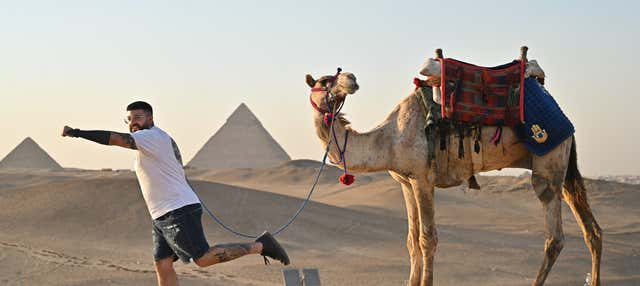 Escursione alle Piramidi di Giza e al Grande Museo Egizio in autobus