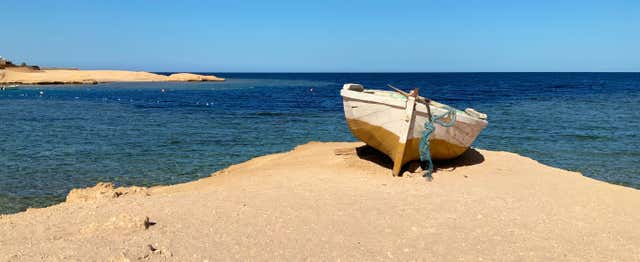Excursion à la baie de Sharm El Naga