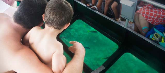 Giro in barca con fondo di vetro