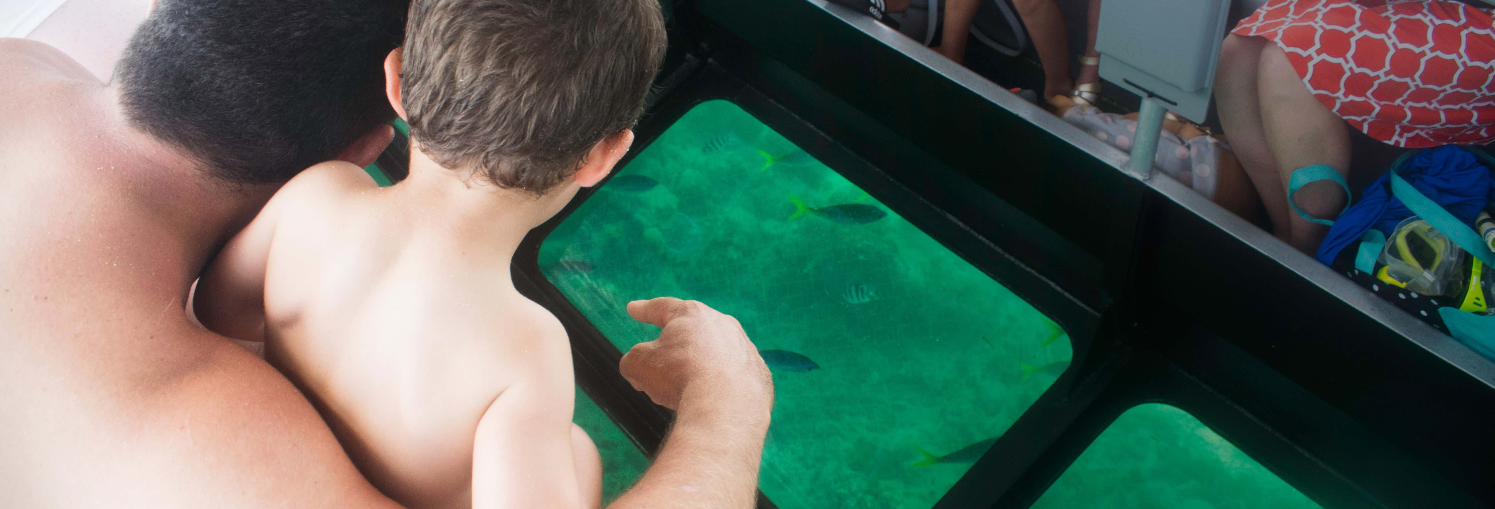 Giro in barca con fondo di vetro