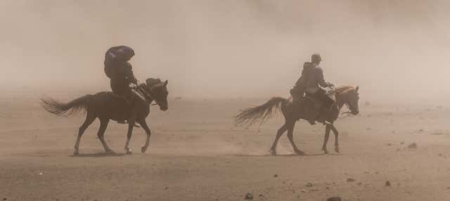 Passeggiata a cavallo a Hurghada