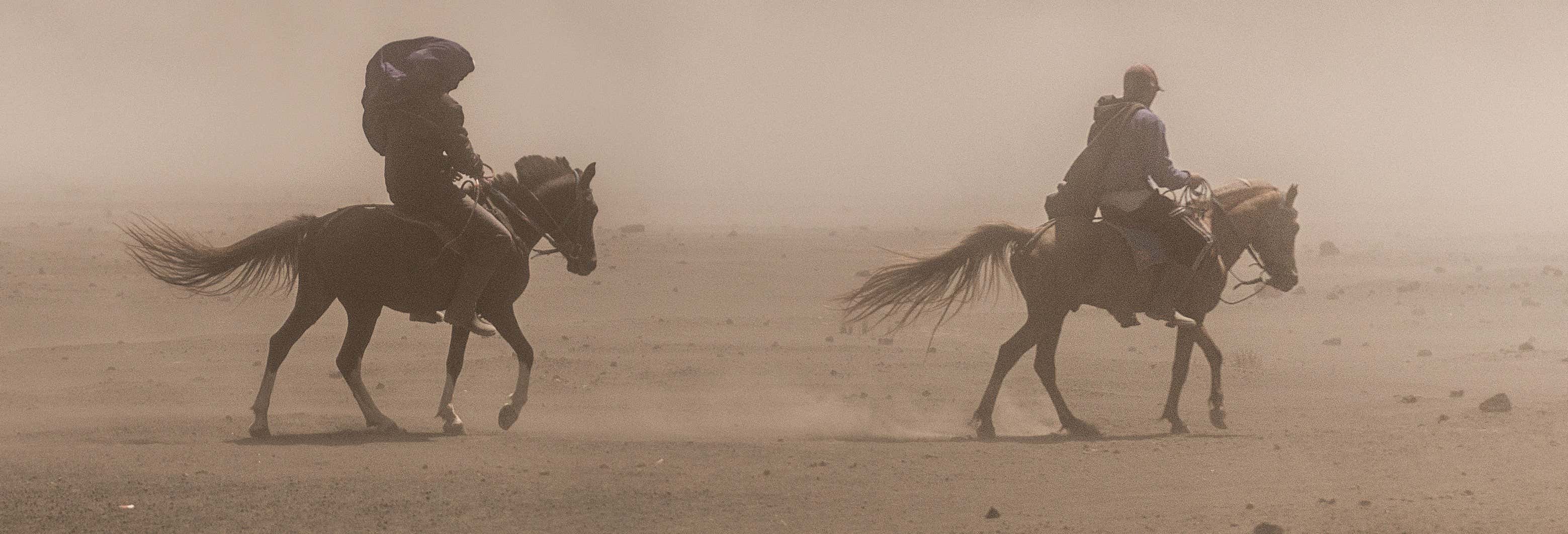 Passeggiata a cavallo a Hurghada