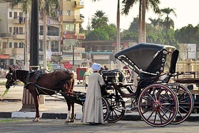 Luxor Tour by Horse-Drawn Carriage