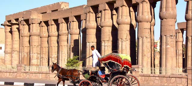 Giro in calesse a Luxor