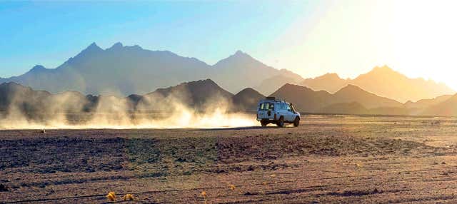 Tour in 4x4 + Giro in cammello + Cena con spettacolo nel deserto